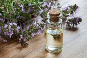 Thymus vulgaris Wissenschaft