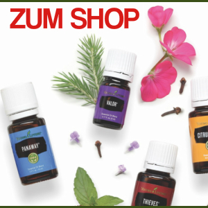 Zum YL Shop